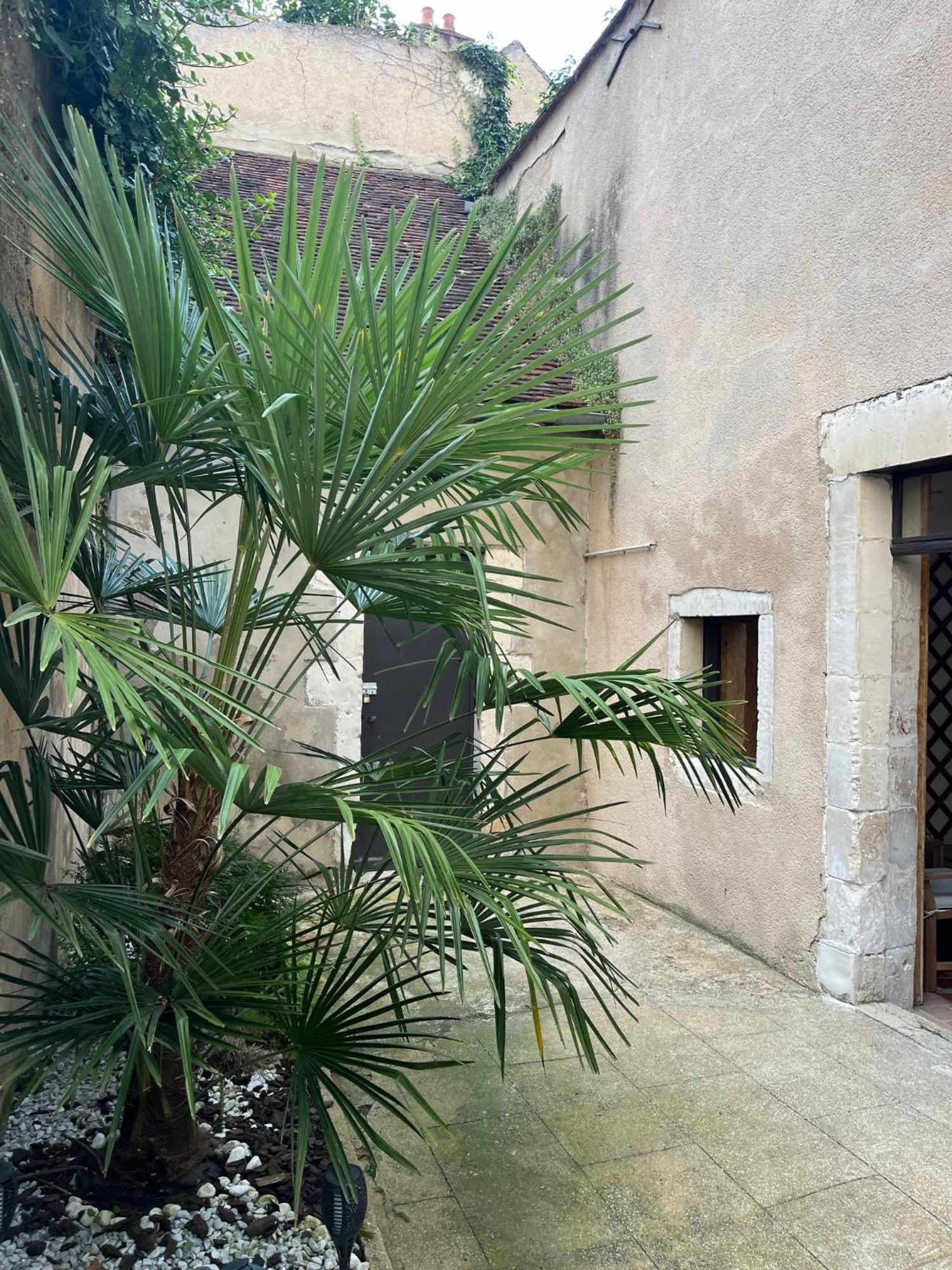 Cosy Appartement Hyper Centre Ville Avec Cour + Patio Auxerre Exterior foto
